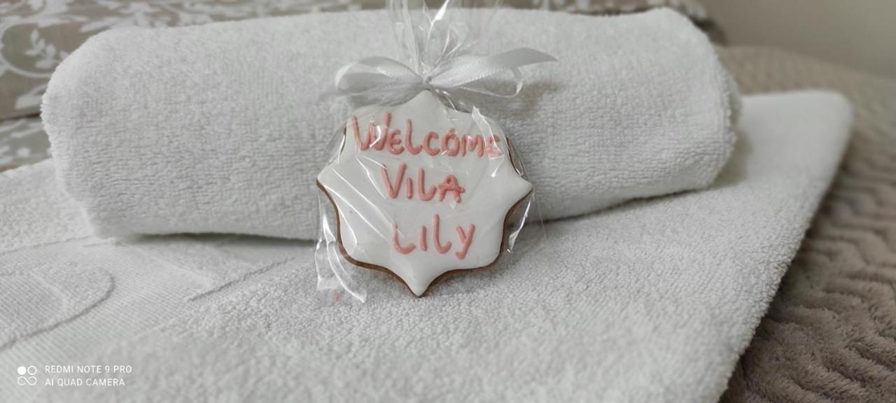 스메데레보 Vila Lily 빌라 외부 사진